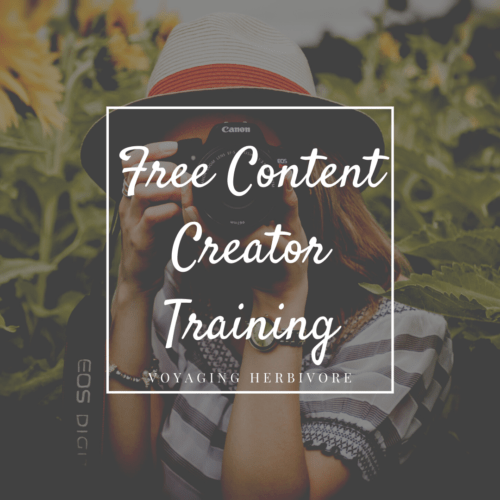 free content creator training